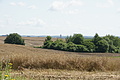 DSC03869 - Bernhard Saalfeld