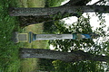 DSC03913 - Bernhard Saalfeld