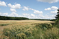 DSC03915 - Bernhard Saalfeld