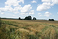 DSC03916 - Bernhard Saalfeld