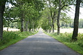 DSC03917 - Bernhard Saalfeld
