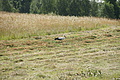 DSC03930 - Bernhard Saalfeld