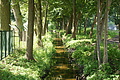 DSC04021 - Bernhard Saalfeld