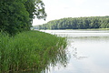 DSC04026 - Bernhard Saalfeld