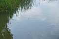 DSC04027 - Bernhard Saalfeld