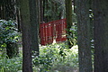 DSC04034 - Bernhard Saalfeld