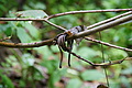 DSC04036 - Bernhard Saalfeld