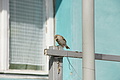 DSC04049 - Bernhard Saalfeld