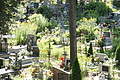 DSC04064 - Bernhard Saalfeld