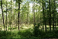 DSC04071 - Bernhard Saalfeld