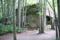 DSC04080 - Bernhard Saalfeld