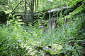 DSC04083 - Bernhard Saalfeld