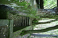 DSC04084 - Bernhard Saalfeld
