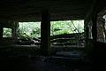 DSC04085 - Bernhard Saalfeld