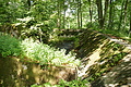 DSC04094 - Bernhard Saalfeld