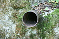 DSC04096 - Bernhard Saalfeld