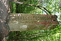 DSC04123 - Bernhard Saalfeld