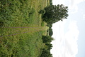 DSC04128 - Bernhard Saalfeld