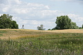 DSC04130 - Bernhard Saalfeld