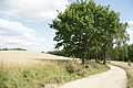 DSC04131 - Bernhard Saalfeld