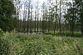 DSC04132 - Bernhard Saalfeld
