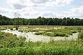 DSC04134 - Bernhard Saalfeld