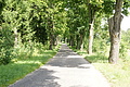 DSC04135 - Bernhard Saalfeld