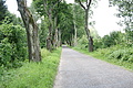 DSC04136 - Bernhard Saalfeld