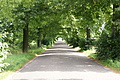 DSC04178 - Bernhard Saalfeld