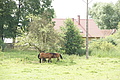 DSC04179 - Bernhard Saalfeld