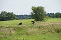 DSC04180 - Bernhard Saalfeld