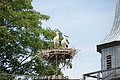 DSC04185 - Bernhard Saalfeld