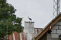 DSC04186 - Bernhard Saalfeld