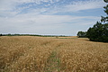 DSC04187 - Bernhard Saalfeld