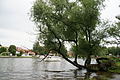 DSC04192 - Bernhard Saalfeld