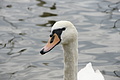 DSC04196 - Bernhard Saalfeld