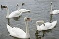 DSC04197 - Bernhard Saalfeld