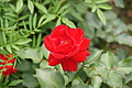 DSC04212 - Bernhard Saalfeld