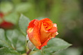 DSC04213 - Bernhard Saalfeld