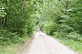 DSC04229 - Bernhard Saalfeld
