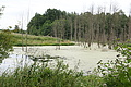 DSC04231 - Bernhard Saalfeld