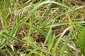 DSC04244 - Bernhard Saalfeld
