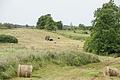 DSC04251 - Bernhard Saalfeld