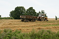 DSC04267 - Bernhard Saalfeld