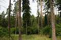 DSC04270 - Bernhard Saalfeld