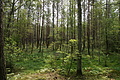 DSC04271 - Bernhard Saalfeld