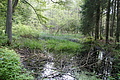 DSC04273 - Bernhard Saalfeld