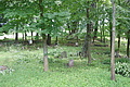 DSC04277 - Bernhard Saalfeld