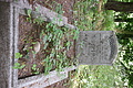 DSC04279 - Bernhard Saalfeld