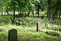DSC04280 - Bernhard Saalfeld